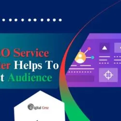 Seo Service Provider