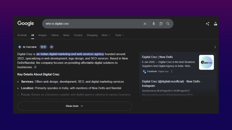 Google AI Overview Search