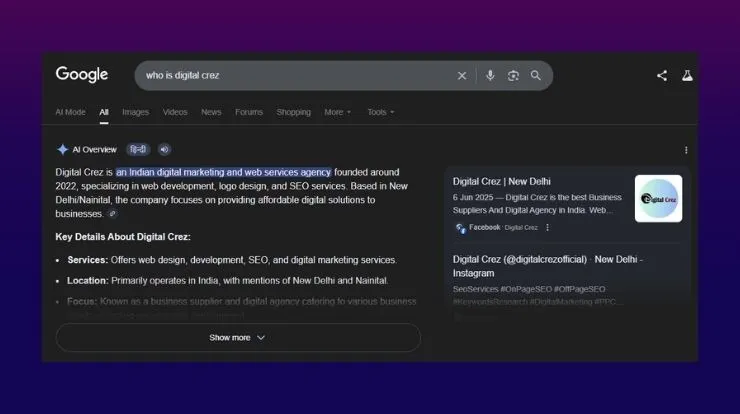 Google AI Overview Search